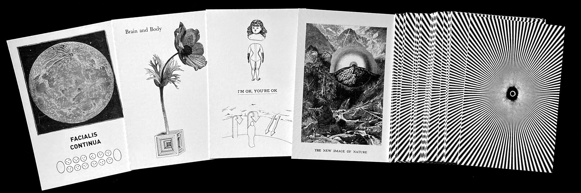 Fortune House Divinations